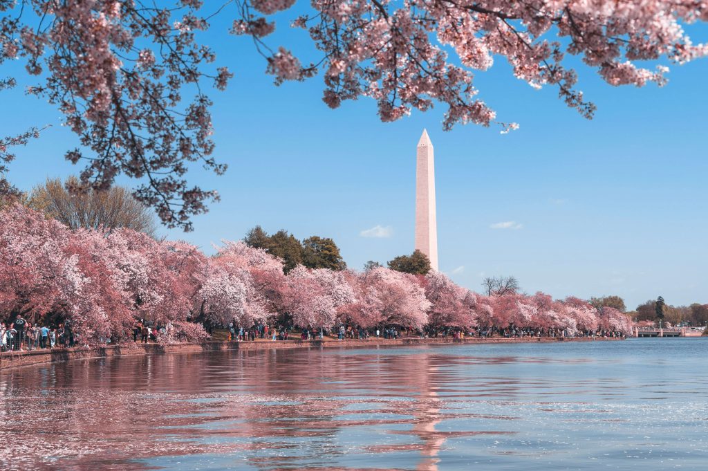 Washington D.C. Image: Andy He Pu, Unsplash. 