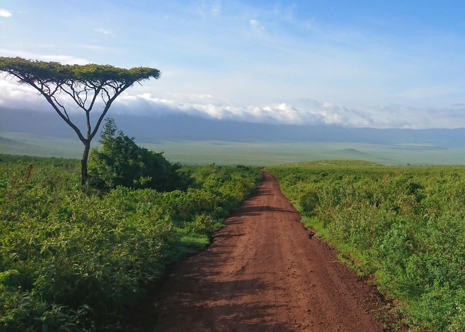 Visit Tanzania: Safari and more. Image: Ben Preater, Unsplash.