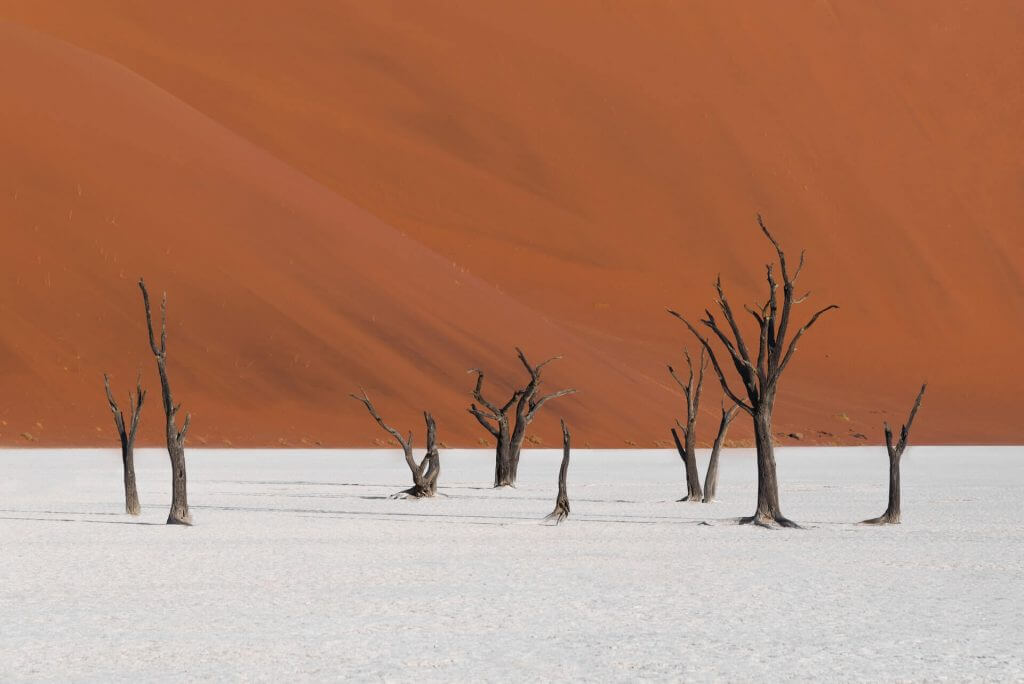 Dead Vlei. Image: Felipe Labate, Unsplash. 