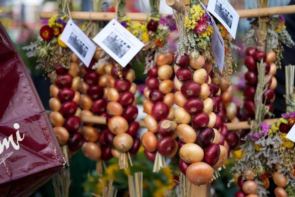 Weimar's Onion Fair. Image: Elcholito, Pixabay. 