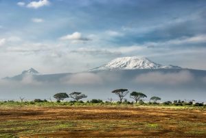 Nature In Kenya. Image: Sergey Pesterev, Unsplash.