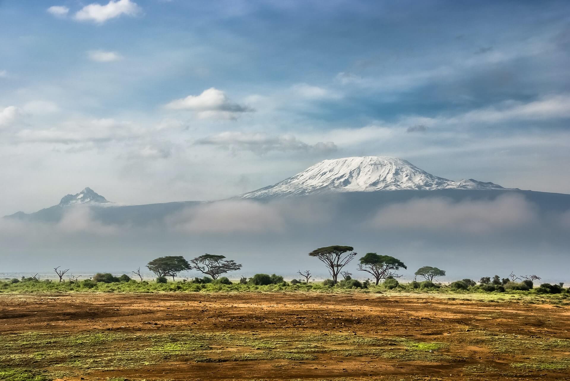Nature In Kenya. Image: Sergey Pesterev, Unsplash.