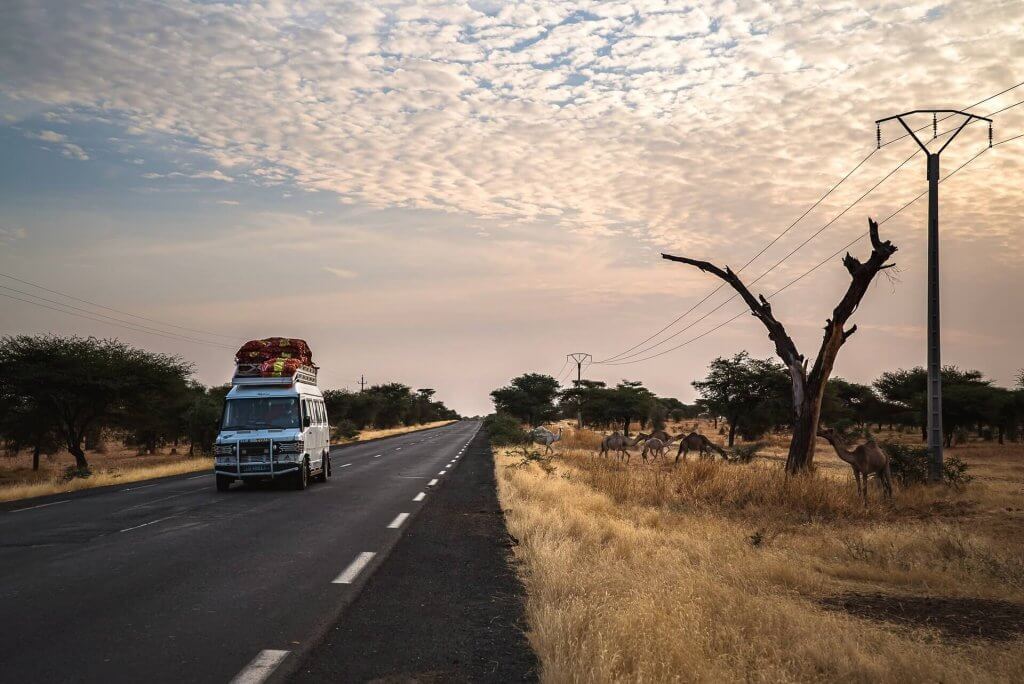 Venturing atop baobab trees. Image: Ewien Van Bergeijk, Unsplash. 