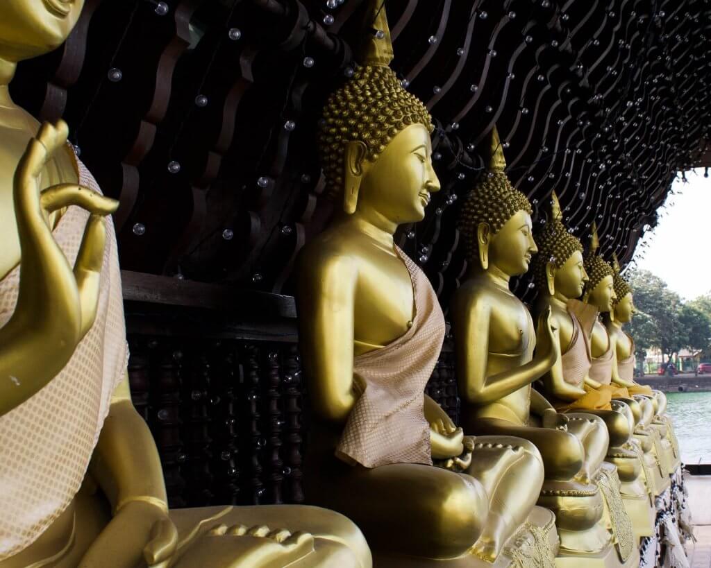 Learn more about Buddhism. Image: Riveen Manathunge, Unsplash. 