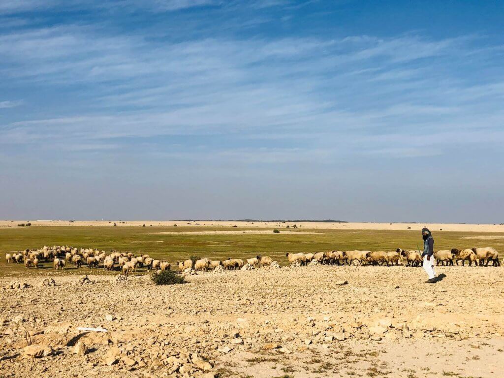Desert of Catar. Image: Ajmal Mk, Unsplash. 
