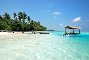 Maldives: a Paradise In Indian Ocean. Image: Collin Watts, Unsplash.