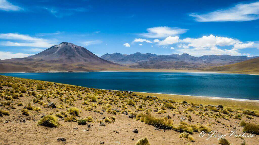 Altiplanic Lagoons. Image: Jorge Pacheco.