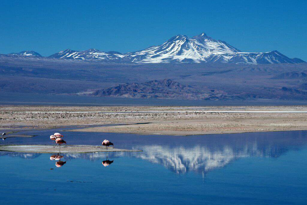 Salar de Atacama. Image: NovoaR, Flickr.