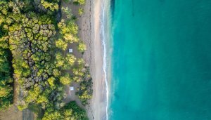 Discover Guadaloupe. Image: Robin Inizan, Unsplash.