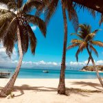 Discover Top Beaches in Caribbean. Image: Claudia Altamimi, Unsplash.