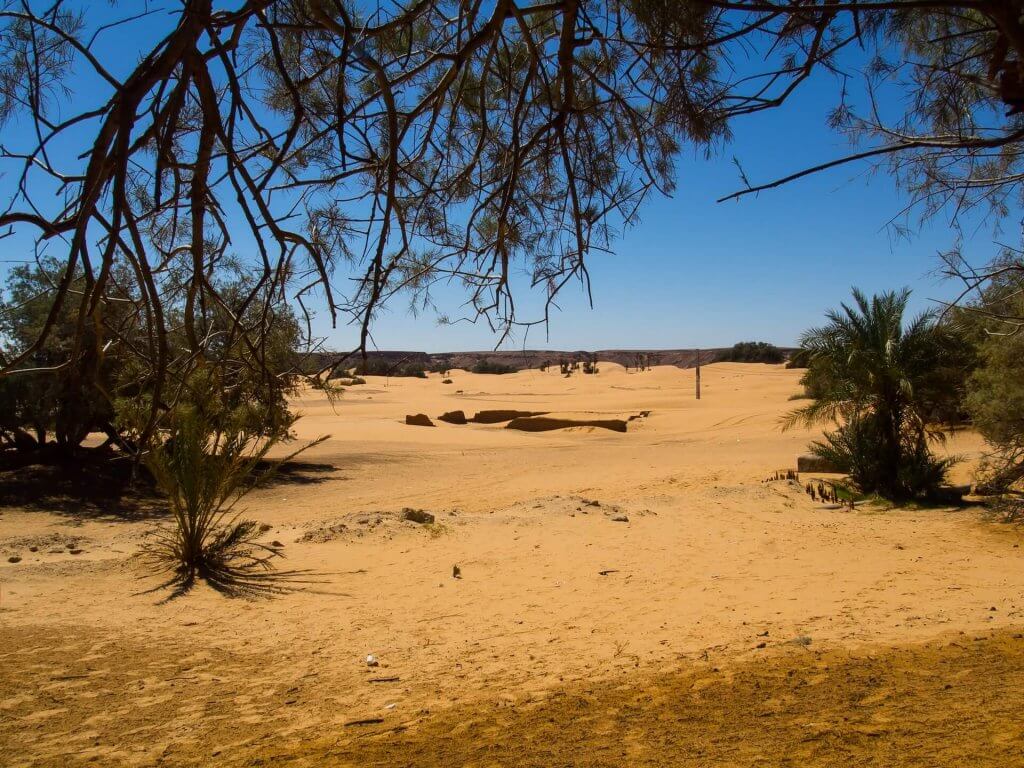 Image: Halima Bouchouicha, Unsplash. 