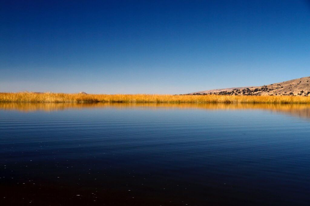 Image: Paul Summerns, Unsplash. 