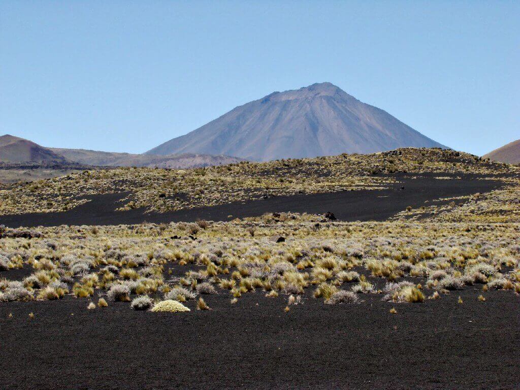 Image: Pablo Flores, Flickr. 