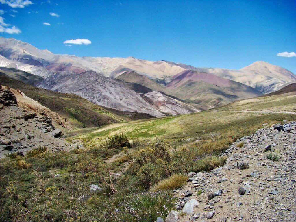 Image: Pablo Flores, Flickr. 