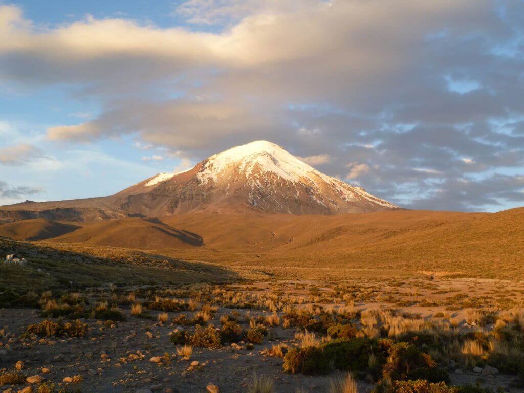 Image: Rosmery Delgado, Unsplash. 