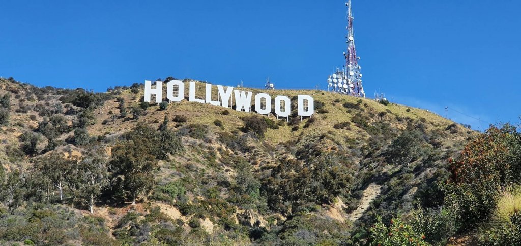 Image: Dewi Jones, Unsplash. 