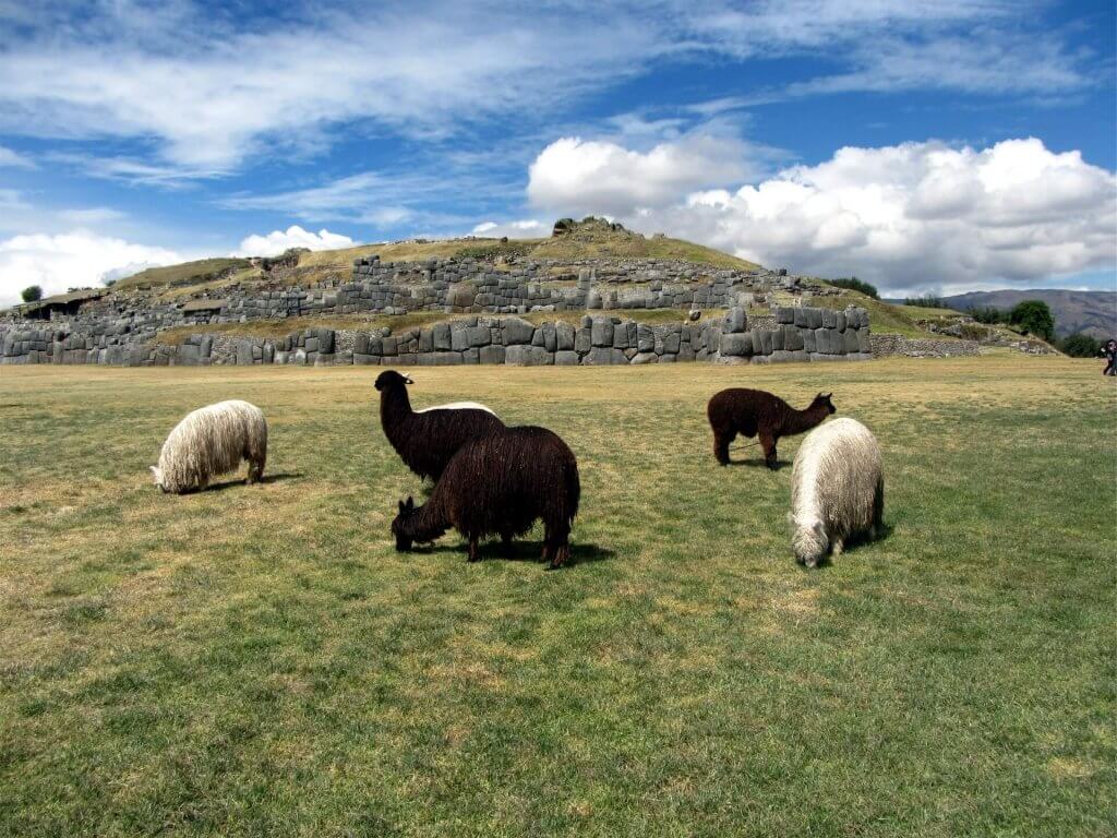 Image: Maritza, Unsplash.