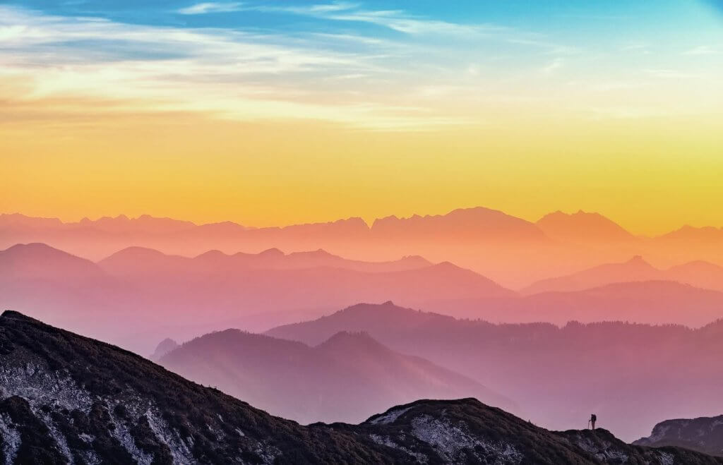 Image: Simon Berger, Unsplash. 