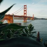 San Francisco. Image: Tim Foster.