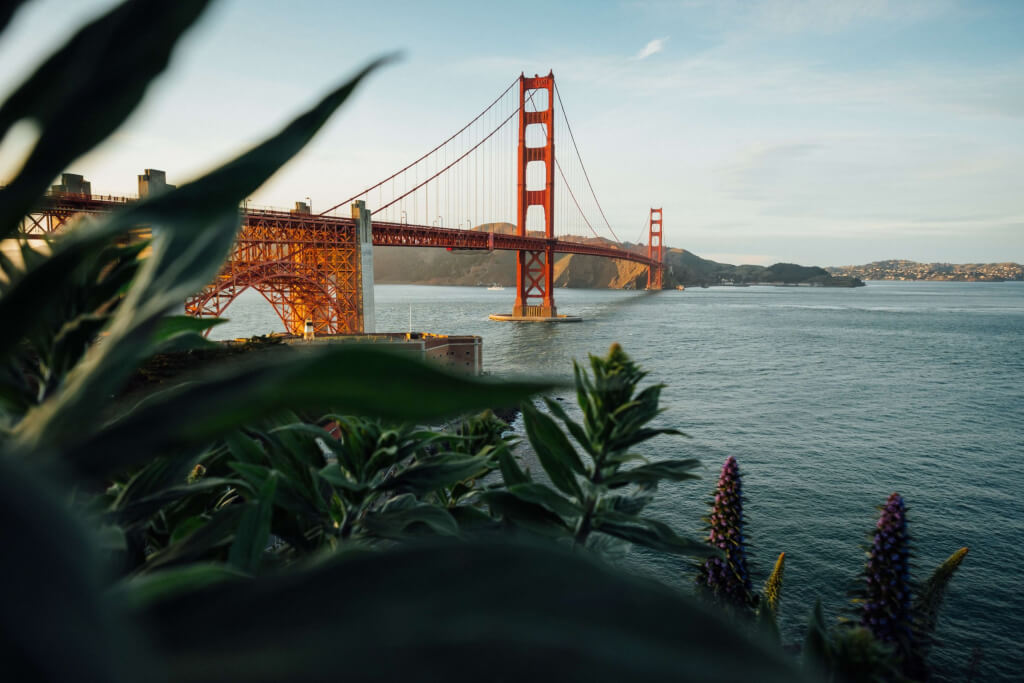 San Francisco. Image: Tim Foster.